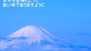 Thumbnail of post image 198